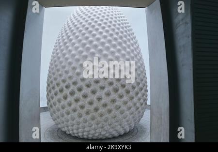 Samen Skulptur in der Kernbau im Eden Project, Bodelva, in der Nähe von St Austell, Cornwall, England, UK Stockfoto