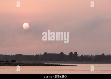 Rote Hinweise auf nebligen Sonnenaufgang durch Sturzbrände im Staat Washington. An einem nebligen Morgen über Baker Bay im Cape Disapointment State Park, WA, aufgenommen. Sta Stockfoto