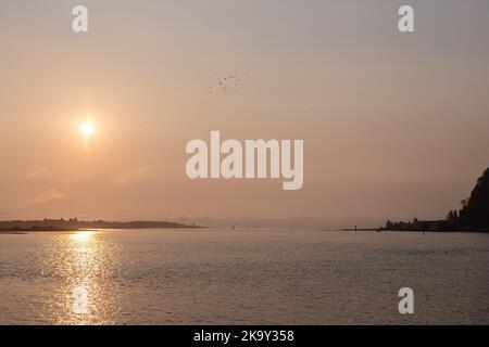 Rote Hinweise auf nebligen Sonnenaufgang durch Sturzbrände im Staat Washington. An einem nebligen Morgen über Baker Bay im Cape Disapointment State Park, WA, aufgenommen. Sta Stockfoto