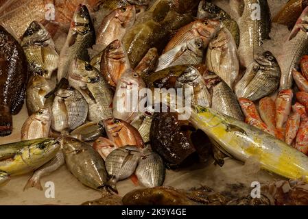 Der Fischmarkt von Catania ist lebhaft, lebhaft, farbenfroh und düster mit einer aufregenden Atmosphäre. Stockfoto