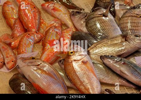 Der Fischmarkt von Catania ist lebhaft, lebhaft, farbenfroh und düster mit einer aufregenden Atmosphäre. Stockfoto