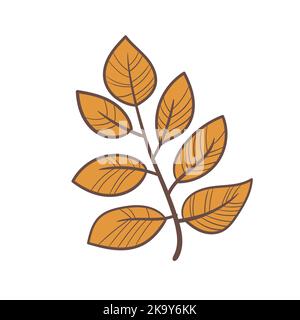 Handgezeichnetes Vektor-Herbstblatt-Symbol. Design für Poster, Textilien, Kleidung und Website. Einfaches Element Stock Vektor