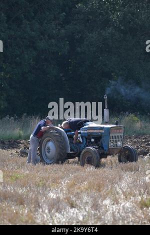 Zwei Männer, die einen alten Vintage-Traktor auf dem Stoppeln-Feld brampton suffolk england justieren Stockfoto