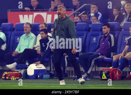 Gelsenkirchen, Deutschland. 30. Okt, 2022. firo : 30.10.2022, Fußball, Fußball, 1. Liga, 1. Bundesliga, Saison 2022/2023, FC Schalke 04 - SC Freiburg Trainer Thomas REIS, Schalke Credit: dpa/Alamy Live News Stockfoto