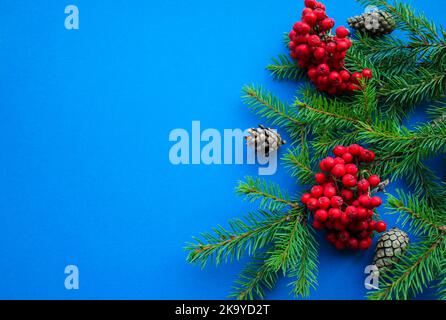 Der Geist von Weihnachten: Tannenzweige, Zapfen, leuchtend rote Vogelbeeren auf einem hellblauen Hintergrund mit Platz für Text Stockfoto