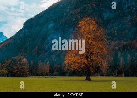 Logar Tal oder Logarska dolina in den slowenischen Alpen im Herbst. Stockfoto