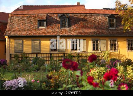 Weimar, Deutschland. 16. Oktober 2022. 16.10.2022, Weimar. Die Rückseite von Goethes ehemaligem Haus in Weimar mit dem Garten im Vordergrund. Der Privatrat, Dichter-Preisträger, Forscher und Naturforscher Johann Wolfgang von Goethe lebte mit seiner Familie viele Jahre im Weimarer Haus am Frauenplan und starb auch hier. Das Haus wurde im 19.. Jahrhundert zu einem Museum. Quelle: Wolfram Steinberg/dpa Quelle: Wolfram Steinberg/dpa/Alamy Live News Stockfoto