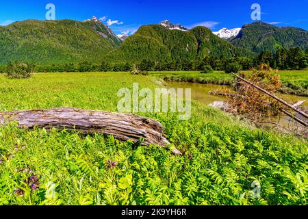 Flussufer entlang des Kingcome River Valley im Musgmagw Dzawada'enuwx Territory, First Nations Territory, British Columbia, Kanada Stockfoto