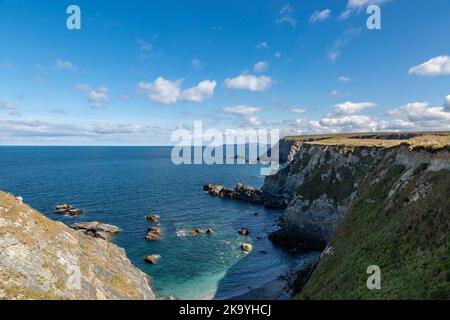 Die zerklüftete Küste von Cornish in Mutton Cove in der Nähe von Godrevy Point, an einem sonnigen Tag Stockfoto