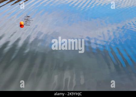 Blick auf das Wasser in einem Hafen mit einer Boje, die auf der Oberfläche schwimmt Stockfoto