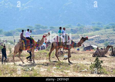 Ajmer, Rajasthan, Indien. 30. Oktober 2022. Die Pushkar-Messe (Pushkar Camel Fair) oder Pushkar Mela, wie es vor Ort als bekannt ist, ist eine jährliche fünftägigen Kamel-und Viehmarkt in der Stadt Pushkar zwischen den Monaten Oktober und November statt. (Bild: © Shaukat Ahmed/Pacific Press via ZUMA Press Wire) Bild: ZUMA Press, Inc./Alamy Live News Stockfoto