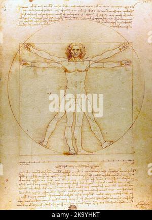 Der vitruvianische Mensch (1485) von Leonardo da Vinci Stockfoto