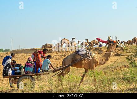 Ajmer, Rajasthan, Indien. 30. Oktober 2022. Die Pushkar-Messe (Pushkar Camel Fair) oder Pushkar Mela, wie es vor Ort als bekannt ist, ist eine jährliche fünftägigen Kamel-und Viehmarkt in der Stadt Pushkar zwischen den Monaten Oktober und November statt. (Bild: © Shaukat Ahmed/Pacific Press via ZUMA Press Wire) Bild: ZUMA Press, Inc./Alamy Live News Stockfoto