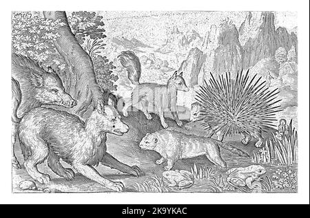 Wildschwein, Füchse, Biber, Stachelschweine und Frösche, Nicolaes de Bruyn, 1621, Jahrgang graviert. Stockfoto