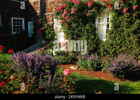 Ein Sommergarten blüht an den Rändern eines historischen Hauses in den Hamptons auf Long Island Stockfoto