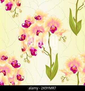 Nahtlose Textur Zweige Orchidee Phalaenopsis gelbe Blüten und Blätter tropische Pflanzen Stamm und Knospen vintage Vektor botanische Illustration für desi Stock Vektor