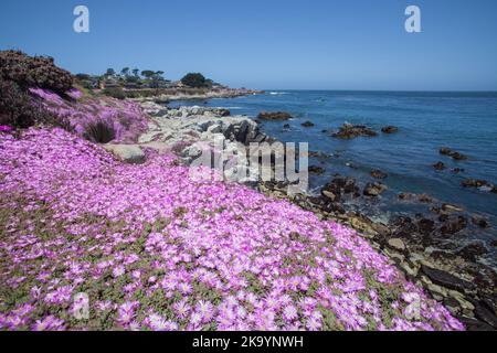 Lovers Point Beach, Monterey, Kalifornien, USA Stockfoto