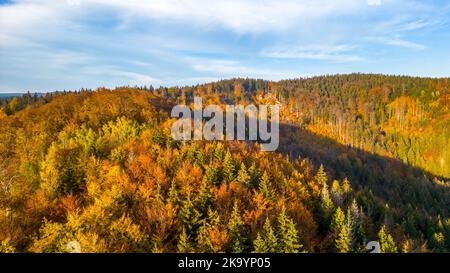 Farbenfroher Herbstwald im Isergebirge von oben Stockfoto