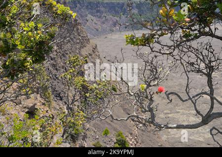 Die malerischen dampfenden Krater Kilauea und Halemaumau, Hawaiʻi Volcanoes National Park auf Big Island HI Stockfoto