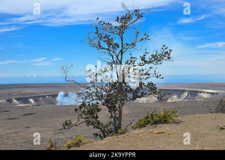 Die malerischen dampfenden Krater Kilauea und Halemaumau, Hawaiʻi Volcanoes National Park auf Big Island HI Stockfoto