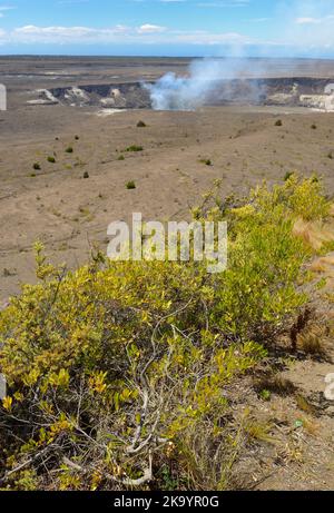 Die malerischen dampfenden Krater Kilauea und Halemaumau, Hawaiʻi Volcanoes National Park auf Big Island HI Stockfoto