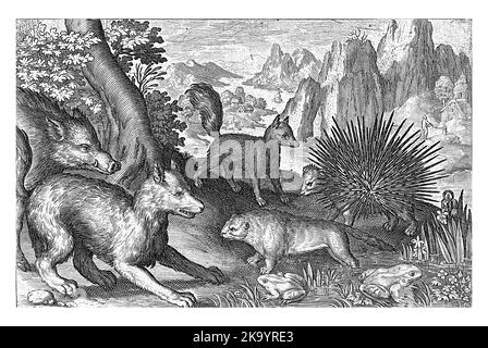 Wildschwein, Füchse, Biber, Stachelschweine und Frösche, Nicolaes de Bruyn, 1594, Jahrgang graviert. Stockfoto