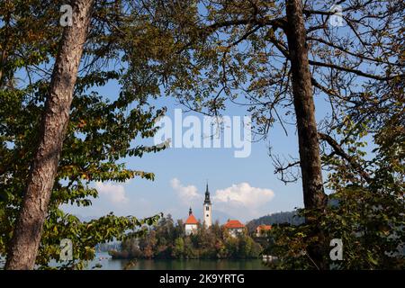 Marienkirche auf der Insel Bled am Bleder See, Slowenien Stockfoto