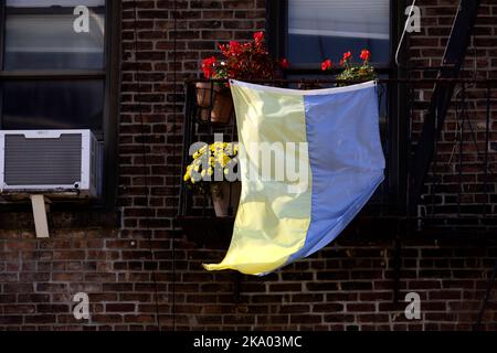 Eine ukrainische Flagge hängt an einer Feuerflucht, Manhattan Stockfoto