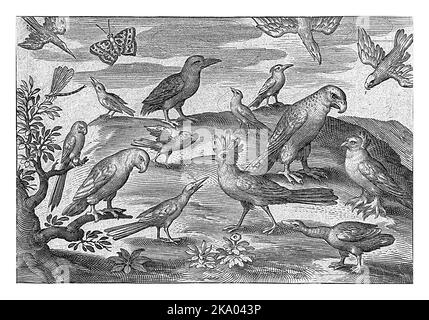 Wiedehopf und andere Vögel, Nicolaes de Bruyn, 1594, Jahrgang graviert. Stockfoto