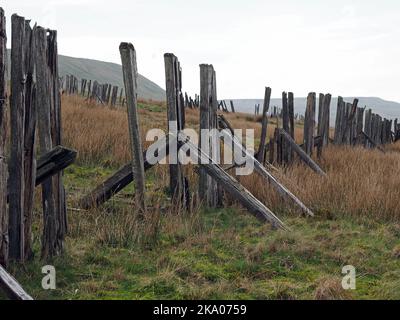 Düstere Pennine-Landschaft - verwitterte Hochlandhölzer Schneebruch-Schlafpfosten auf hohen Mooren über Settle - Carlisle Railway, North Yorkshire, England Großbritannien Stockfoto