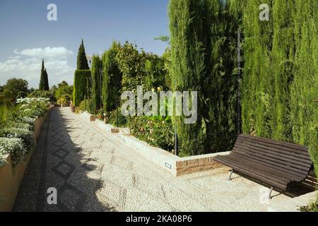 Sitzbank aus Holz auf einer gepflasterten Promenade aus Kieselsteinen in einem Ziergarten auf dem Gelände des Alhambra-Palastes, Granada, Spanien. Stockfoto