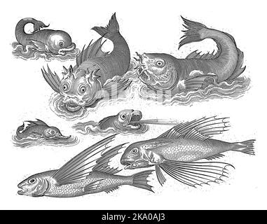 Fantastische Wassertiere, Inschriften in Latein und Niederländisch identifizieren unter anderem einen Delphin und einen Pottwal. Stockfoto