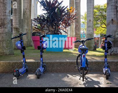 Brisbane, Queensland, Australien - 2022. August: Council Scooter parkten vor riesigen Topfpflanzen im Outdoor Park. Stockfoto