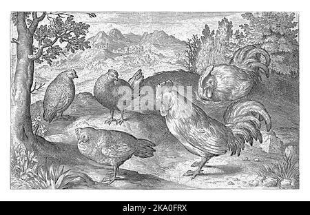 Drei Hühner und zwei Hahn, Nicolaes de Bruyn, 1594 Stockfoto