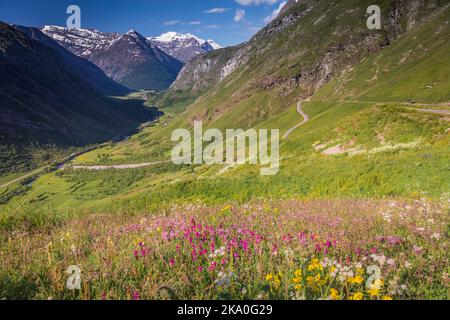 Idyllisches Tal und dramatische Landschaft der Haute Savoie in der Nähe des Iseran-Passes, Frankreich Stockfoto