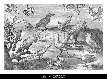 Wiedehopf und andere Vögel, Nicolaes de Bruyn, 1594 Stockfoto