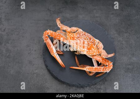 Gedämpfte Blaukrabbe serviert auf Teller, Zubereitung von Speisen Stockfoto