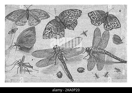 Schmetterlinge und Schmetterlinge, Nicolaes de Bruyn, 1594, vintage graviert. Stockfoto