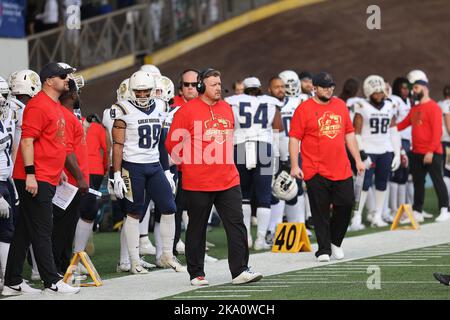Velodromo Vigorelli, Mailand, Italien, 30. Oktober 2022, Trainer und Spieler Großbritanniens während der Europameisterschaftsqualifiers 2023 - Italien gegen England - Fußball Stockfoto