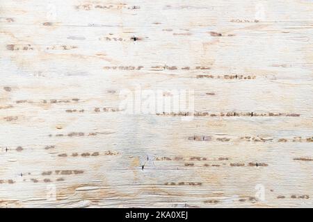 Birke Rinde natürliche Textur Hintergrund. Hochwertige Fotos Stockfoto