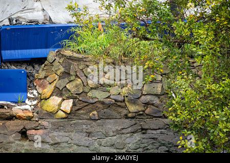 Brisbane, Queensland, Australien - 2022. August: Eine mit Algen bedeckte Felswand am Brisbane River. Stockfoto