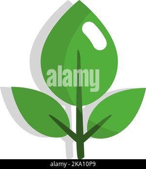 Grüne Teeblätter, Illustration oder Symbol, Vektor auf weißem Hintergrund. Stock Vektor