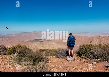 Wandern über der Wüste Anza Borrego auf dem Pacific Crest Trail, Mt. Laguna, Kalifornien, USA Stockfoto