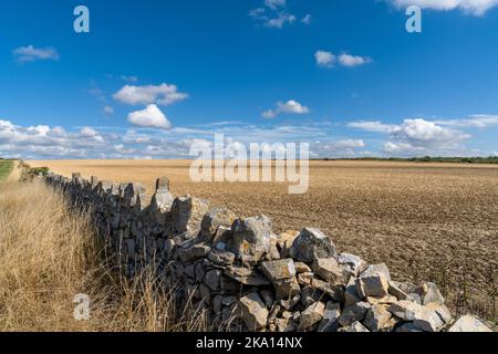 Die traditionelle Steinmauer trennt Hektar und Felder an der Monknash Coast von Südwales Stockfoto