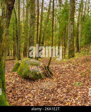 Herbstlandschaften im Sergeevka-Park auf dem Gebiet des ehemaligen Anwesens der Leuchtenbergskys im Leningrader Gebiet. Stockfoto