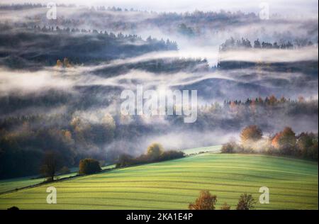 Uttenweiler, Deutschland. 31. Oktober 2022. Nebelwolken driften am Morgen kurz nach Sonnenaufgang über einem Waldgebiet in Oberschwaben. Quelle: Thomas Warnack/dpa/Alamy Live News Stockfoto
