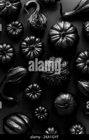 Verschiedene Arten von kleinen Kürbissen in schwarz auf dunklem Hintergrund platziert gemalt Stockfoto