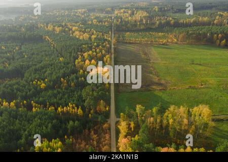 Eine riesige Ebene, die von einem gemischten, Nadelwald bedeckt ist. In der Mitte befindet sich eine Schotterstraße. Es ist Herbst, die Blätter sind gelb und braun. Stockfoto