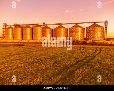 Körnerelevator. Metallkornaufzug in der landwirtschaftlichen Zone. Landwirtschaftliche Lagerung für die Ernte. Getreidesilos auf grünem Naturhintergrund. Außenansicht von Stockfoto