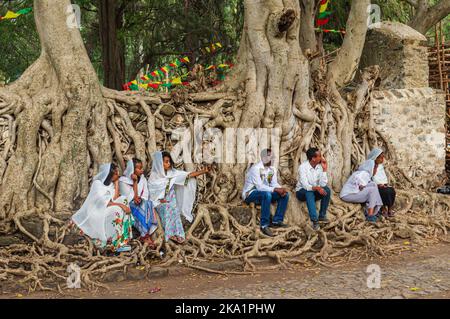 GONDAR, ÄTHIOPIEN - 18. JANUAR 2019: Einheimische sitzen auf den Wurzeln im Fasilides' Bath in Gondar während des Timkat-Festivals. Stockfoto